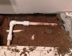 海城测漏水哪家好