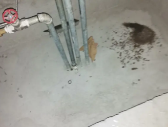 海城卫生间测漏水价格明细